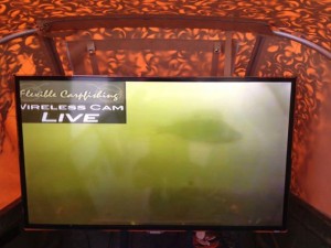 wireless-live-onderwaterbeelden
