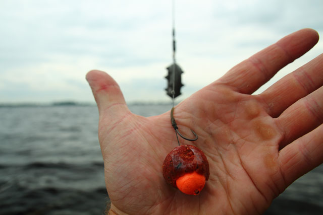 Foto-3-snowgirl-red-flower-flexible-carpfishing