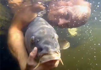 Vinkeveense Plassen Carpcrossing Lake special