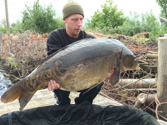 Spiegelkarper 22 kilo
