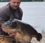 Schubkarper van 27,5 kg